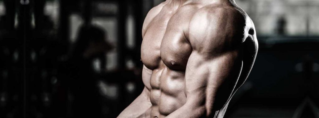 Creatine Benefits: An Ultimate Guide To Creatine Supplements Creatine Benefits An Ultimate Guide To Creatine Supplements